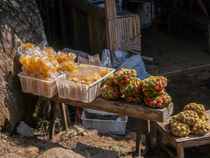 Fruterama Central
